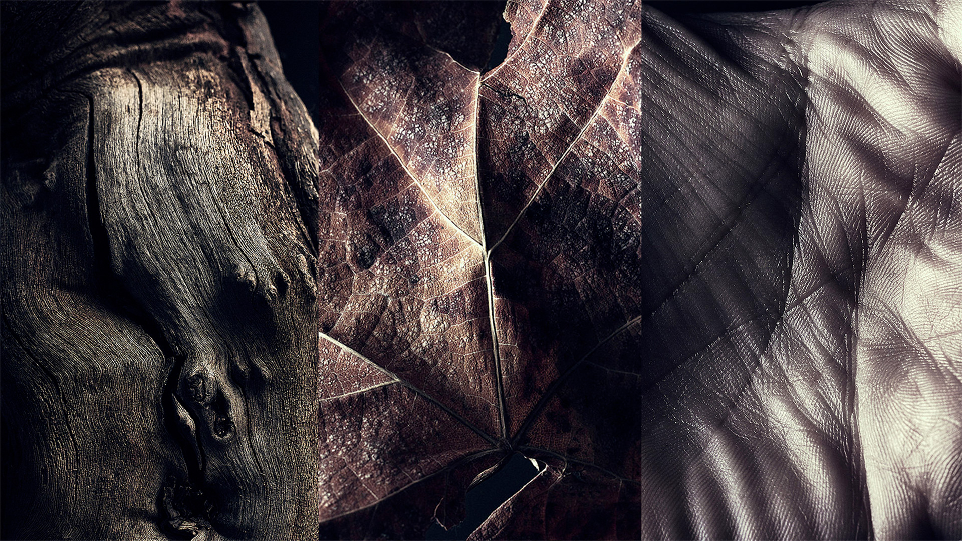 bodegas-celaya-zumo-publicidad